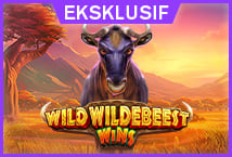 Wild Wildebeest Wins